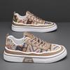Canvas Shoes Men's Spring New Printed Cloth Embroidered Board Shoes Men's Versatile Comfortable Casual Shoes