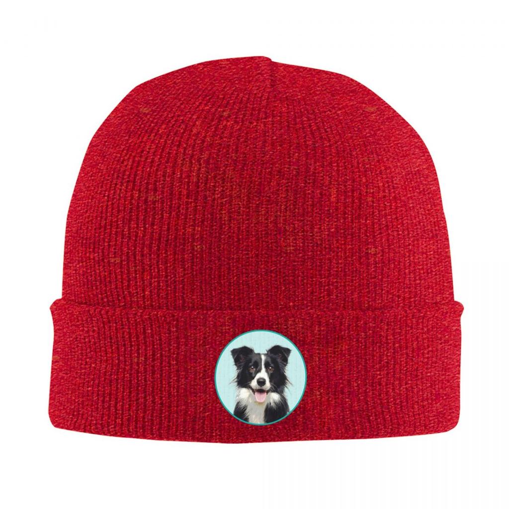 Cute Border Collie Dog Warm Knitted Cap Winter Knit Bonnet Hat Skullies Beanies Hip Hop Caps for Unisex