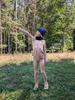 Girls Ribbed Cotton Leggings, Beige, Size 104/110