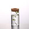 Thickened Hydroponic Plants Flower Pot Transparent Ecological Glass Vase  Desktop Decoration