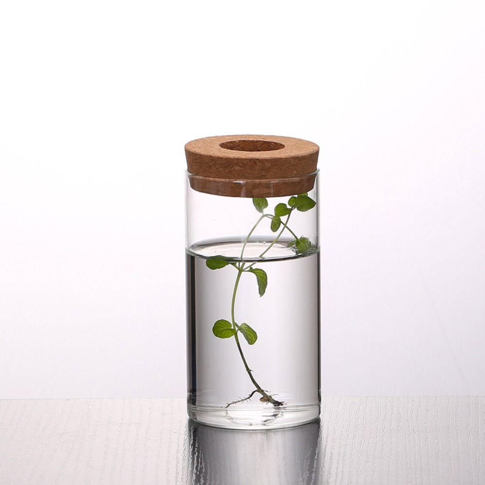 Thickened Hydroponic Plants Flower Pot Transparent Ecological Glass Vase  Desktop Decoration