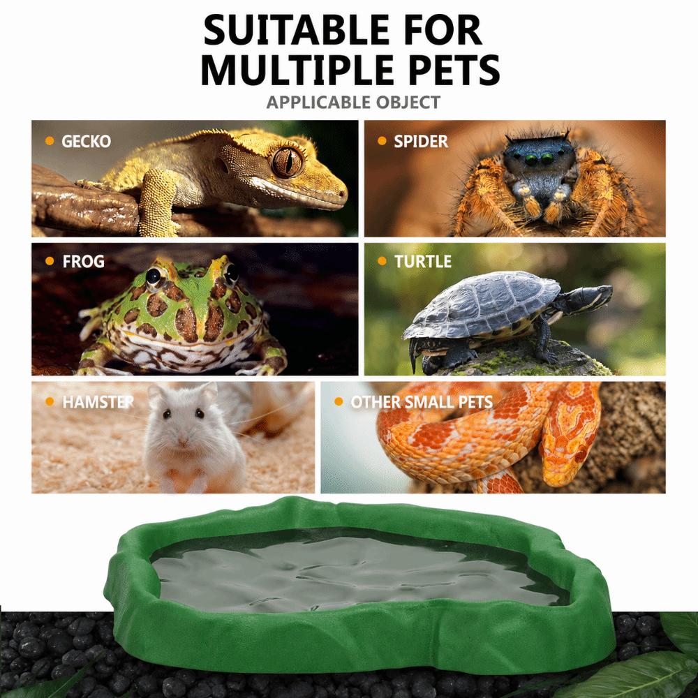 ABS Resin Water Dish Feeder Imitation Rock Design Feeder Bowl New Pet Feeder Basin Small Reptiles