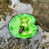 Garden Courtyard Flowing Fountain Resin Handicrafts Ornaments Floating Frog Simulation Cartoon Countryside Style