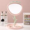 Portable Cute Desktop Makeup Mirror with Stand and Storage for Dorm or Home