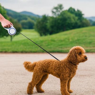 Wear-resistant Pet Dog Leash Anti-bite Adjustable Dog Walking Leash Automatic Extending Retractable Dog Leash for Cats and Dogs