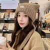 Cute ear hat women's autumn and winter warm windproof knitted hat sweet versatile ear protector small wool hat