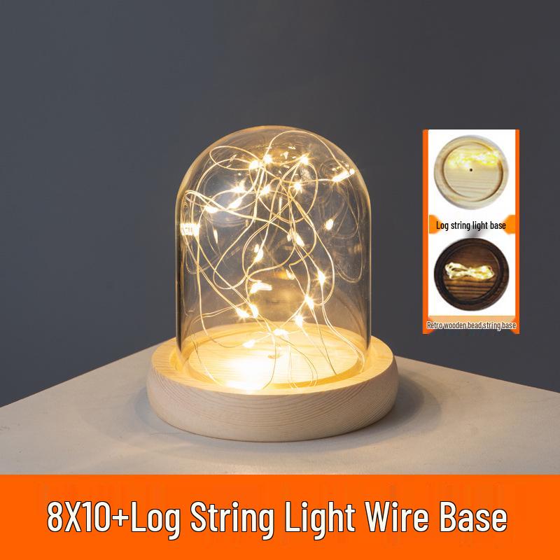 LED Sea Urchin Night Light with Preserved Flower in Glass Cover