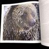 [USED] Paul Nicklen Photo Collection "Bear: Spirit of the Wild