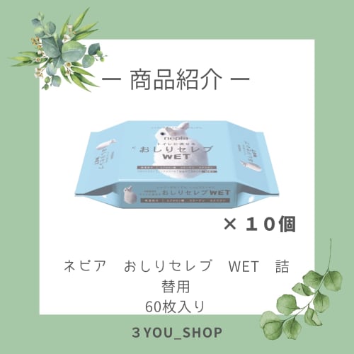 Bulk Purchase: Nepia Butt Celeb Wet Refills (60 Sheets Per Pack, 10-pack) + Bonus + 3you_syop Original Pocket Tissues