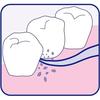 Dental Pro Fresh Floss Pick 100 pieces Soft units (x 1)