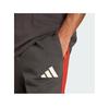 Спортивные шорты adidas 163124