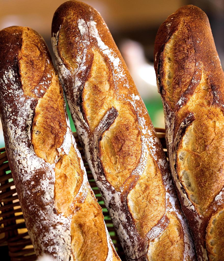 Natürliche Hefe Eimer 300 g x 3 ca.. <Frozen delivery>