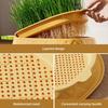Seed Sprouting Trays Planting Hydroponics Boxes Soilless Hydroponic Cat Grass Case  Pet Supplies