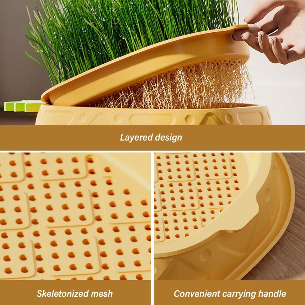 Seed Sprouting Trays Planting Hydroponics Boxes Soilless Hydroponic Cat Grass Case Pet Supplies