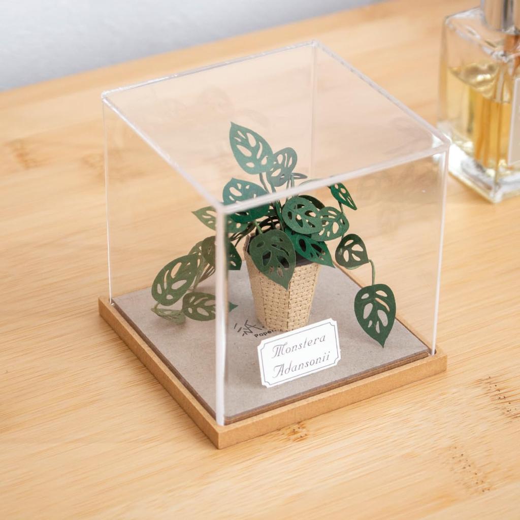 Gintopia Kit di Carta per Paesaggi Carta Artigianato per Piante in Carta Miniature Fatte a Mano con Custodia Acrilica per Adulti, (Monstera adansonii)