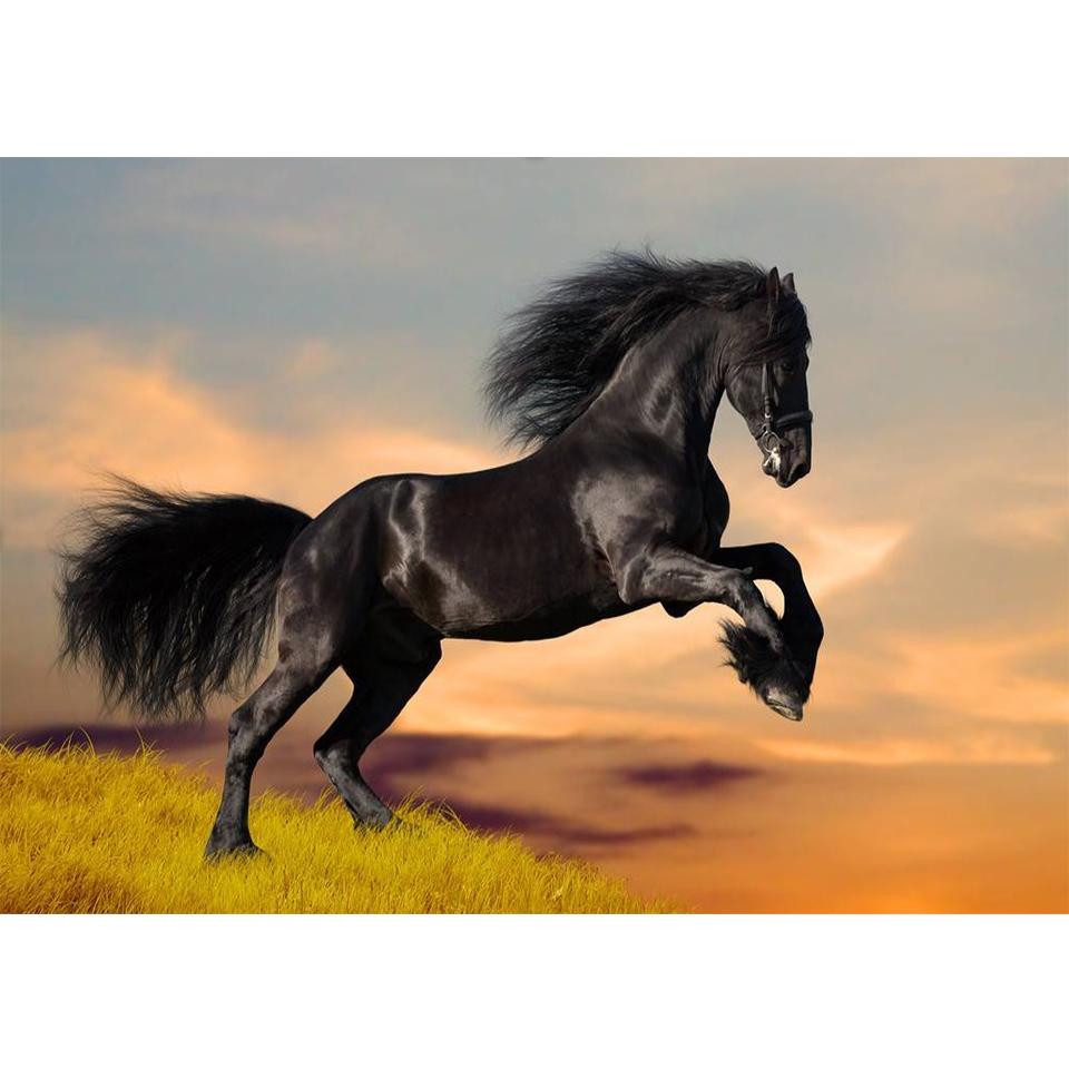 5D DIY Diamond Painting Animal Cross Stitch Kit Full Diamond Embroidery Horse Rhinestone Picture Mosaic Home Decoration Gift