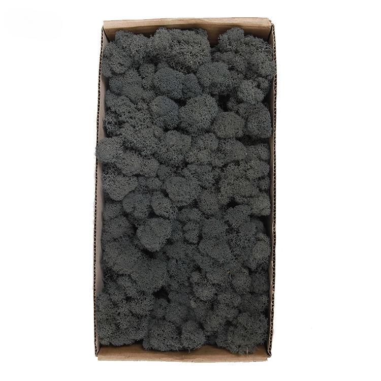 

Искусственный бессмертный мох, зеленый мох, микроландшафтное украшение, высокое качество, зеленая растительность, растение, сушеные цветы ручной работы 500g/Box серый