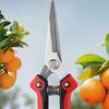 Fruit Tree Scissors Pruning Stainless Steel Pointed Fruit Picking Scissors Pruning Scissors Fruit Branch Vegetable and Fruit Scissors Floral Scissors