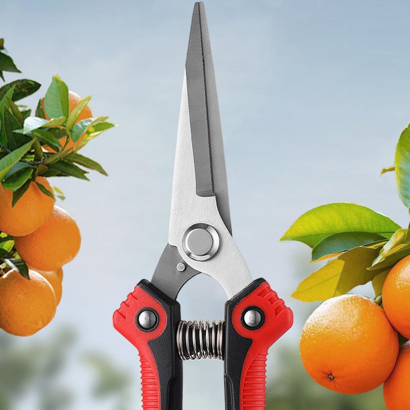 Fruit Tree Scissors Pruning Stainless Steel Pointed Fruit Picking Scissors Pruning Scissors Fruit Branch Vegetable and Fruit Scissors Floral Scissors