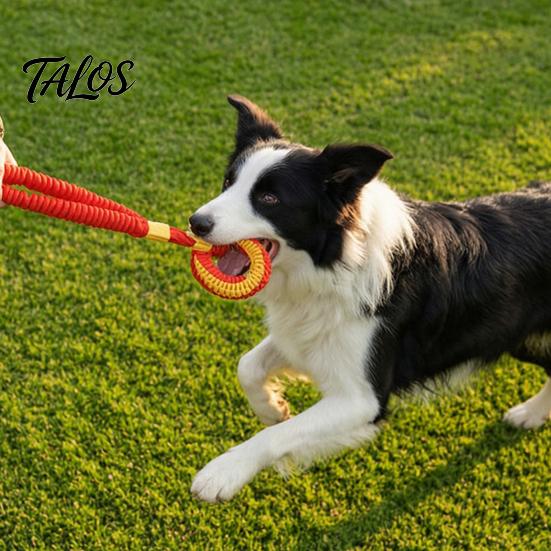 Durable Dog Tug Toys Bungee Toy, Woven Ring with Long Handle, Interactive Chew Teeth Tear Resistant Cleaning Toy for Medium Large Dogs, Dental Care of