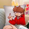 pc Anime Eddsworld Tord Pillow Case Fashion Square Pillowcase Bedroom Sofa Room Ins Decoration Leisure