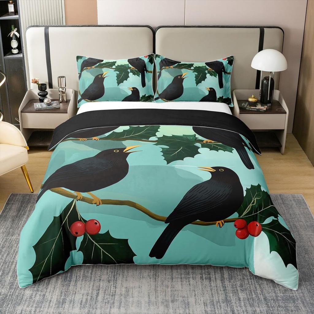 Raven Duvet Covers For Boys Men Quilt Covers Queen Size Lightweight Down Bedroom Decor 2 Pillowcases 1 Duvet Cover No Comforter