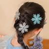YINKE 6-Piece Hair Accessory Set for Kids and Adults, Snowflake Hair Clips, Perfect for Christmas, Parties, Costumes, School Festivals, and Recitals