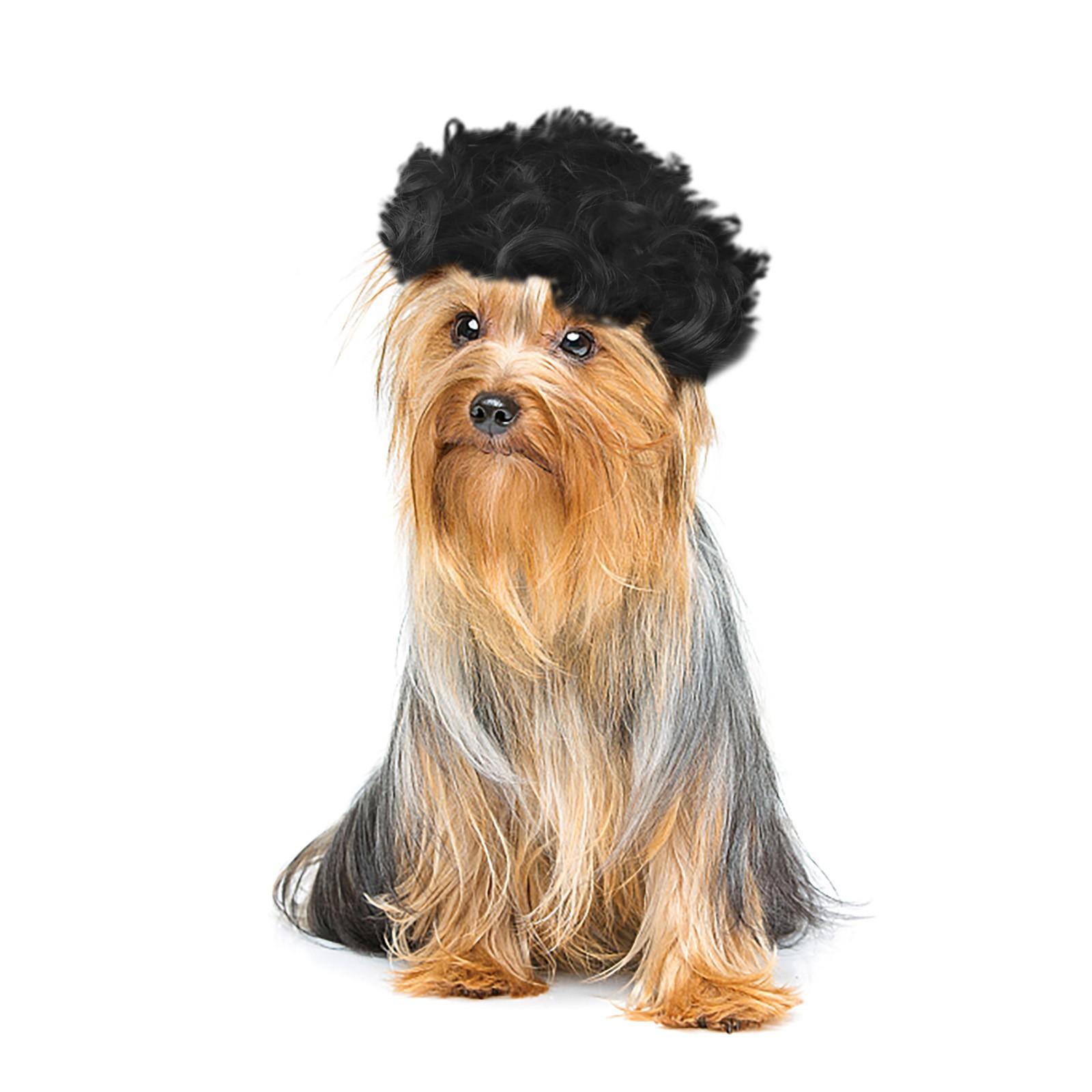 

Dog Pet Funny Hairstyle Braid Hair Wig Pet Hair Dog Pet Funny One Size