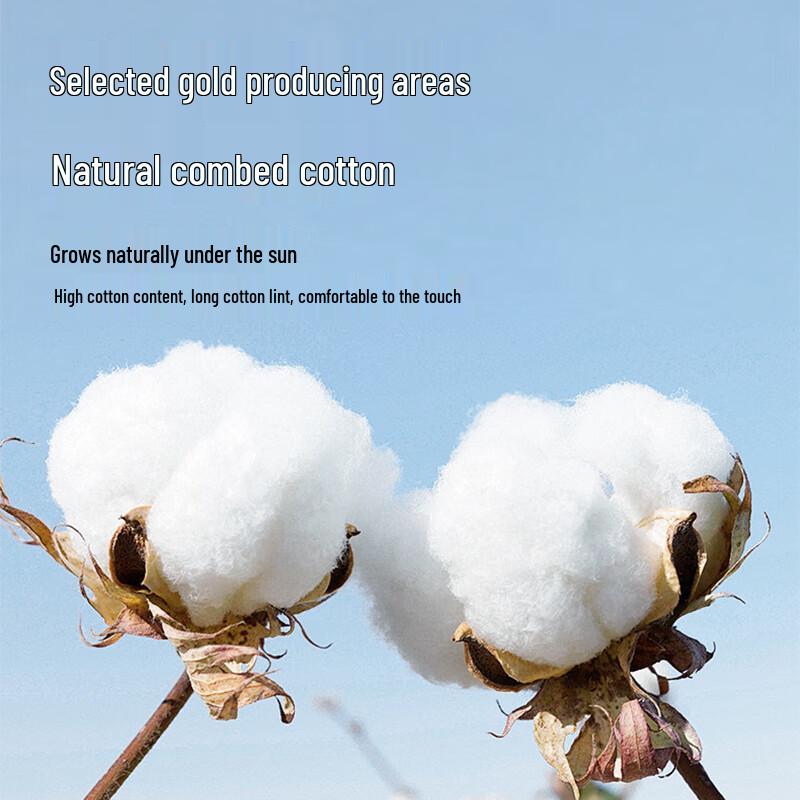 Jing Shuxian Men's Antibacterial Soft Cotton Long-Sleeve T-Shirt