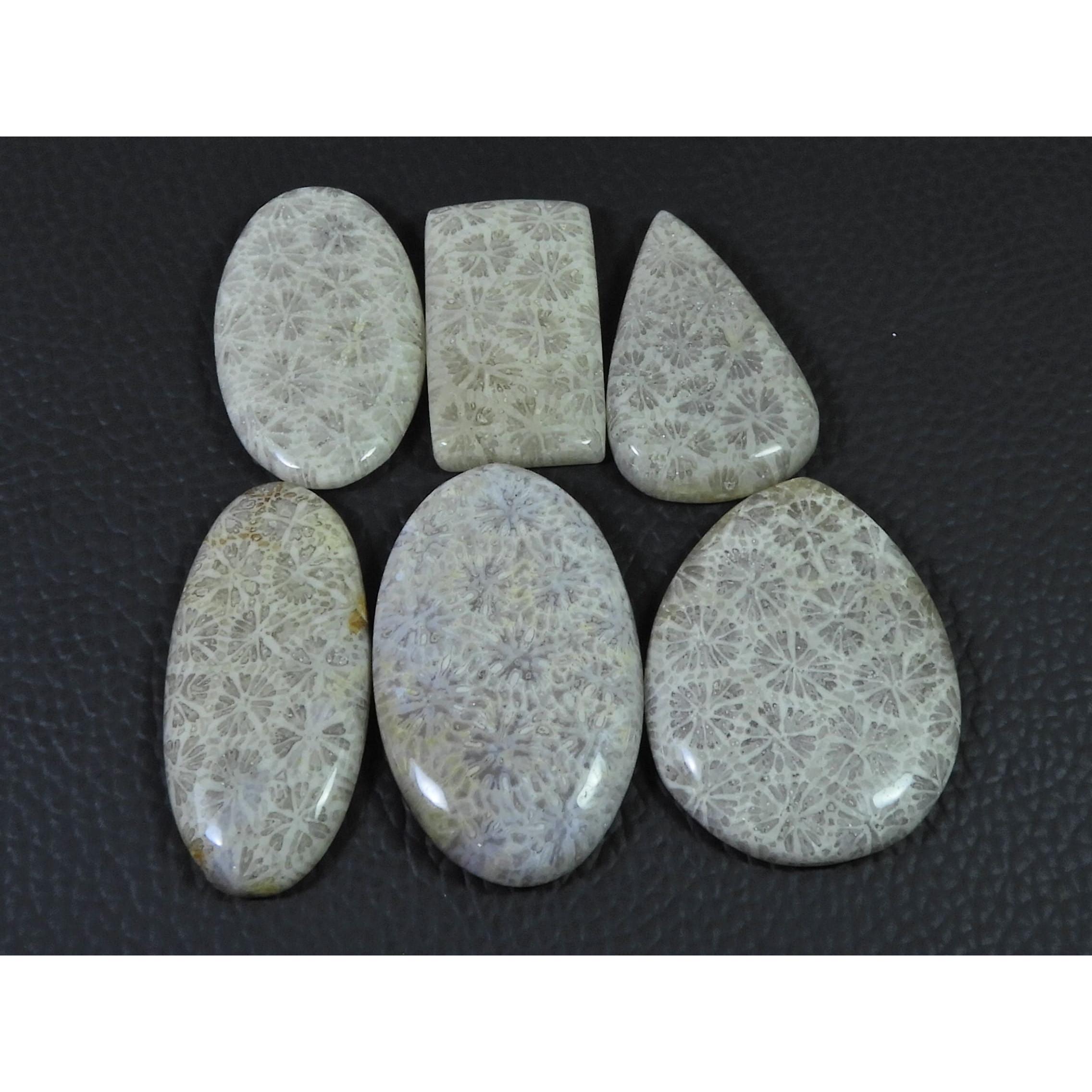 222Cts. Natural Fossil Coral Mix Cabochon Loose Gemstone 6Pcs Lot C-1900