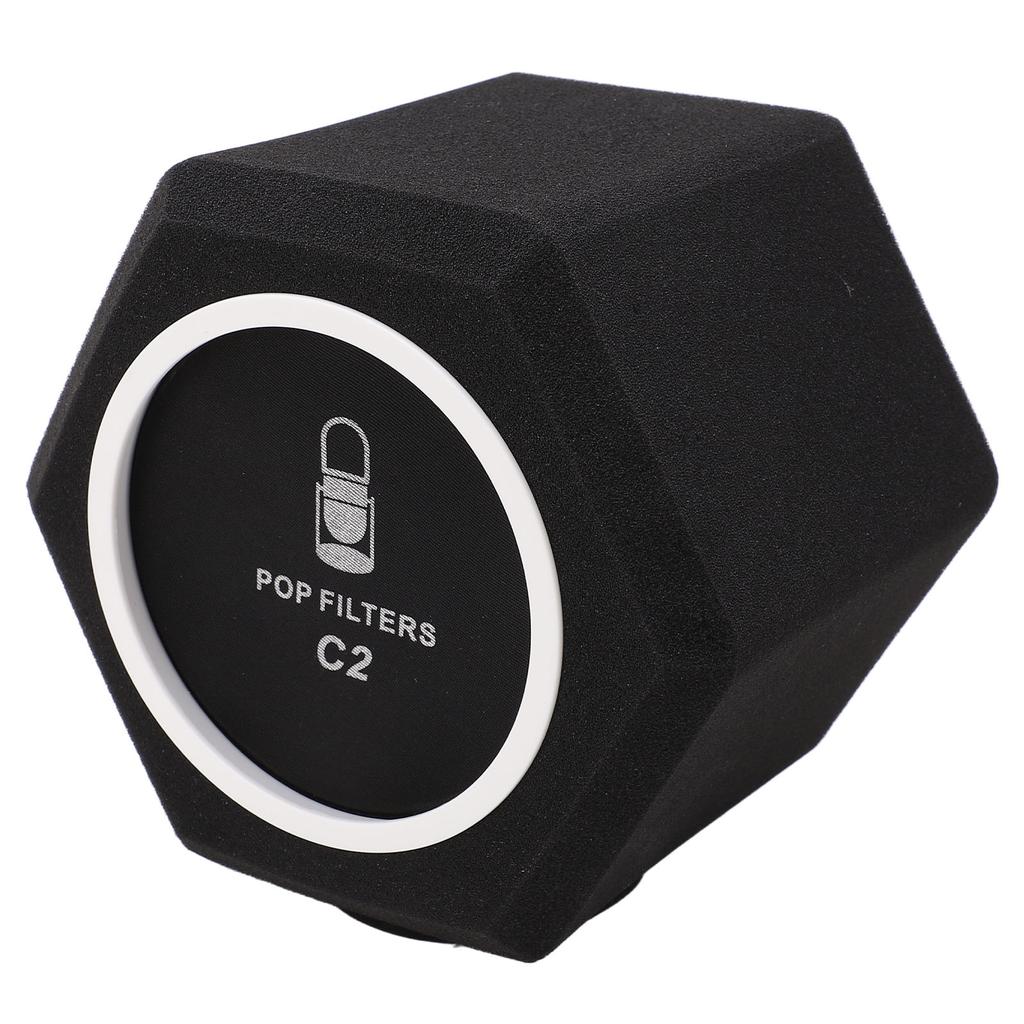 C2 Microphone Sponge Cover High Density Microphone Windscreen Professional Microphone Recording Isolation Booth