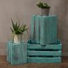 Fruit Boxes Set of 3 - Greenwash