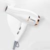 Hezheng 1300W Household Hair Dryer