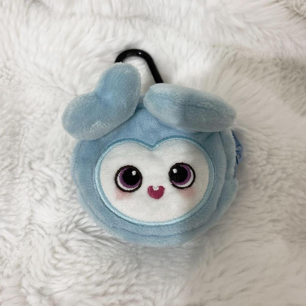 [USED] TWICE Nayeon Earphone Pouch