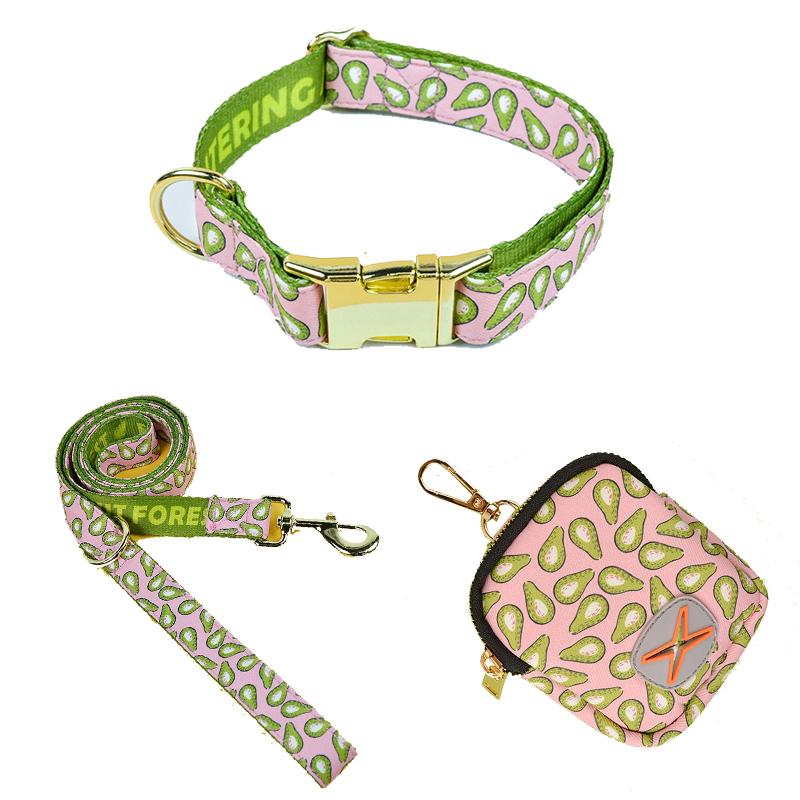 1 Pcs Adjustable Dog Traction Rope Walking Leash With 1 Pcs Color Matching Collor 1 Pcs Waste Bag For Puppy Outdoor Supplies