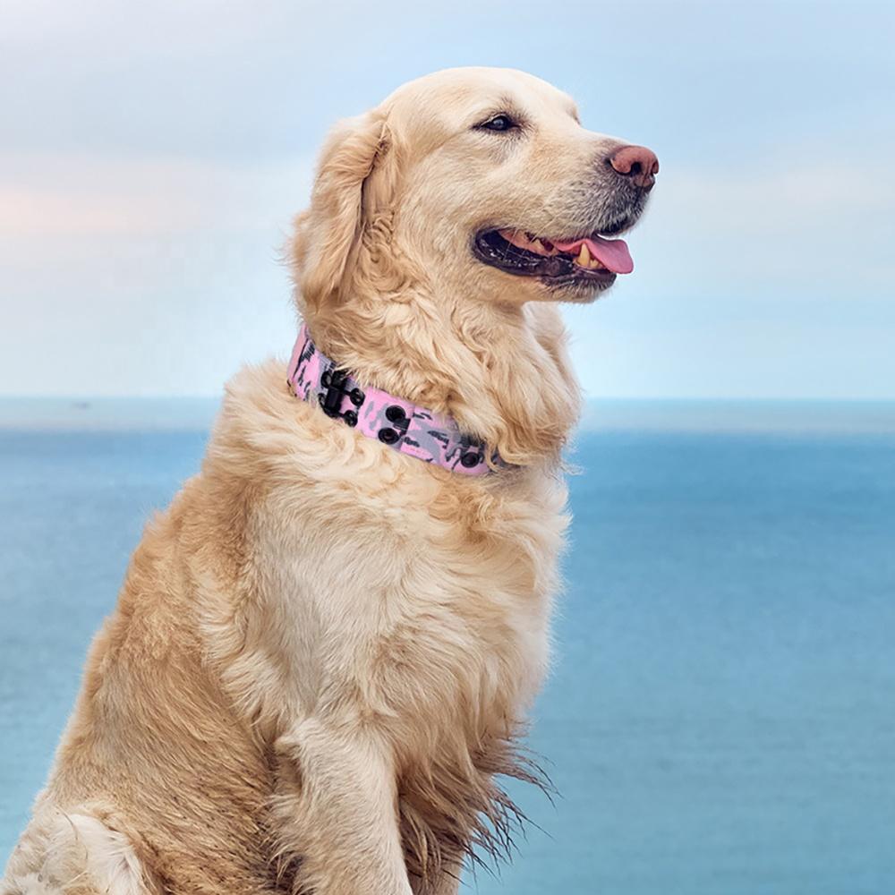 Outdoor Pet Supplies Tactical CollarBreathable Adjustable Nylon Webbing Buckle Training Walking Collars Pet Dog Collar Necklace