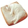 Brød Katte Senge Ristet Brød Skive Stil Kæledyrsmåtter Pude Blød Varm Madras Seng