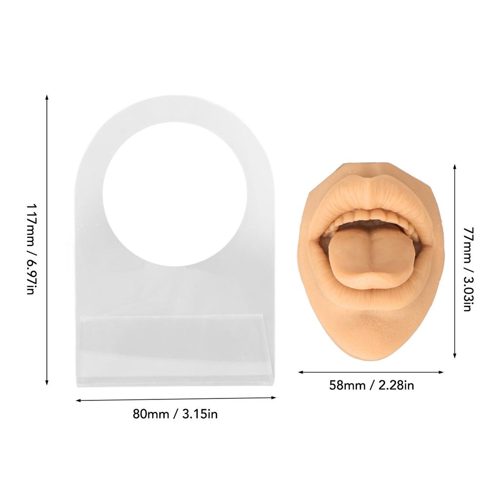 Modelo de lengua humana, silicona suave, soporte acrílico realista, modelo de boca para exhibición de joyería