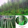 Bamboo Disposable Chopsticks Set - Individually Wrapped, Four-Piece, Small Round; Includes Free Shipping.