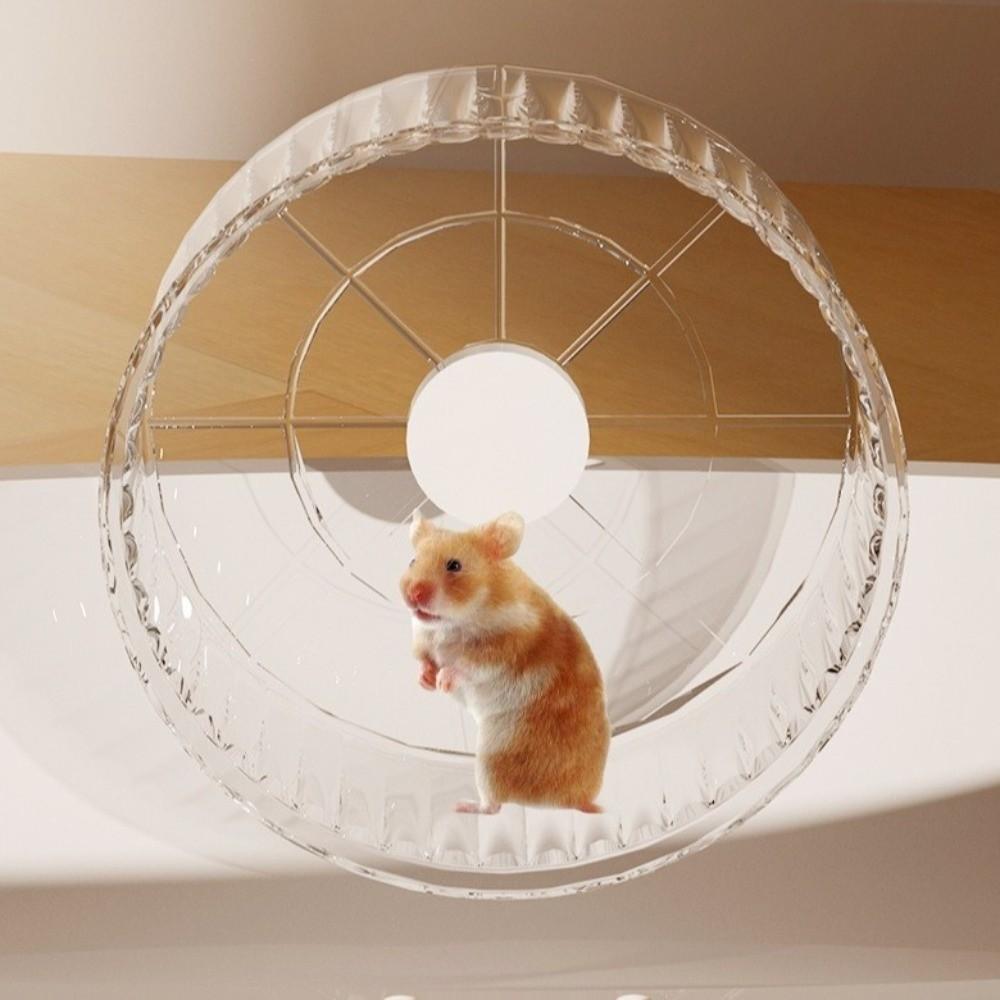 Detachable Hamster Habitat Transparent Small Animal Cage Durable Hamster Cage  Small Animals