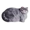 Ginger Cat Bathroom Carpet Russian Blue Floor Mat Entrance Carpet  Living Room Tea Table Bedside