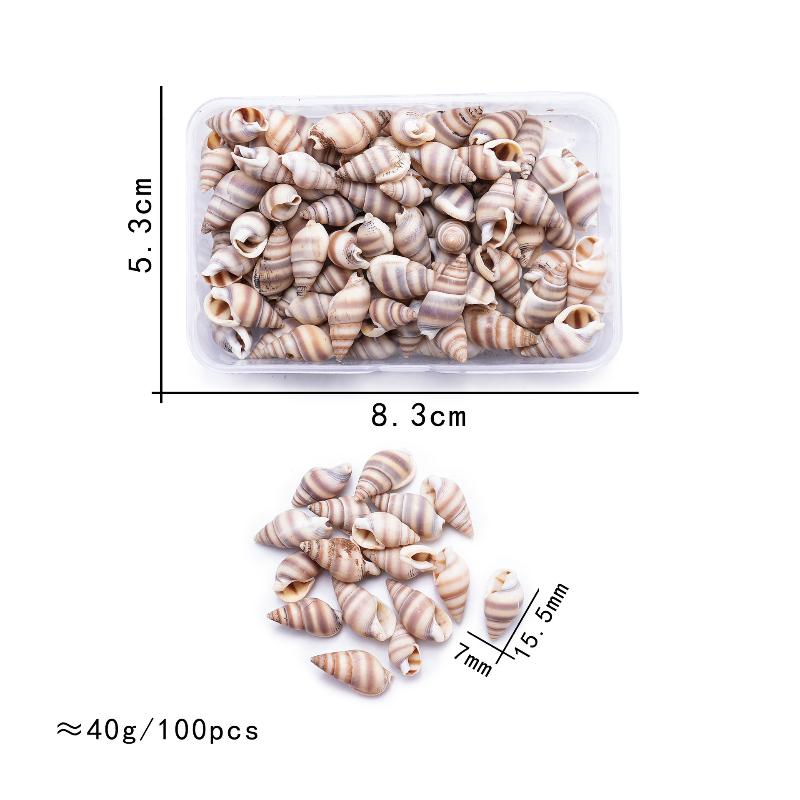 

1 Коробка Морские Ракушки Спиральные Ракушки Крошечные Океанские Спиральные Морские Ракушки Поделки Украшение для Аквариума Ландшафтные Аксессуары Реквизит для Фотографии