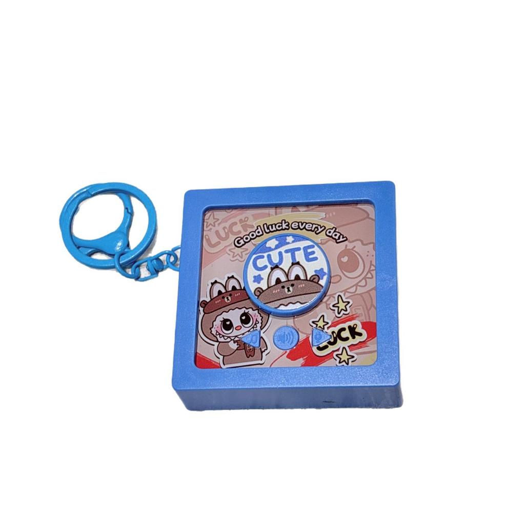 Kreativer Capybara Mini-Plattenspieler Schlüsselanhänger mit CD-Hüllen-Album