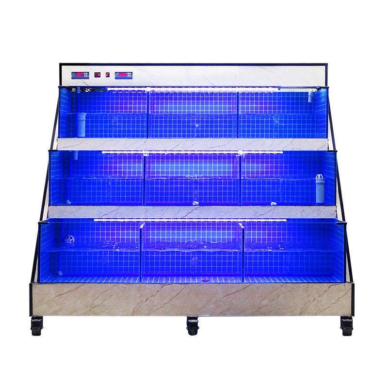 

Leidezhu Integrated Seafood & Fish Holding Tank with Filter and Chiller for Restaurants Design and Measurement