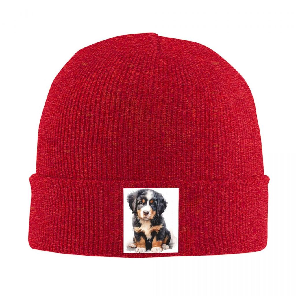 Bernese Mountain Dog Animal Warm Knitted Cap Fashion Bonnet Hat Autumn Winter Outdoor Beanies Hats for Unisex Womenx Adult