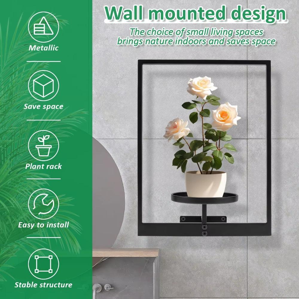 Black Picture Frame Wall Plant Holder Stylish Display Stands  Outdoor