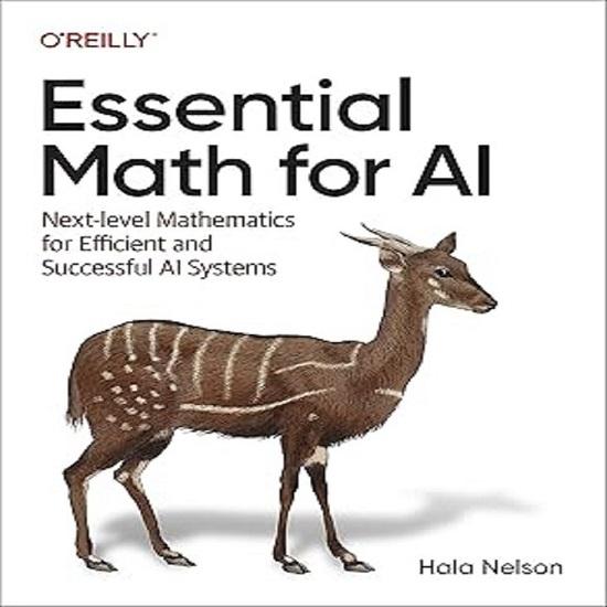 Oreilly Essential Math for AI Paperback