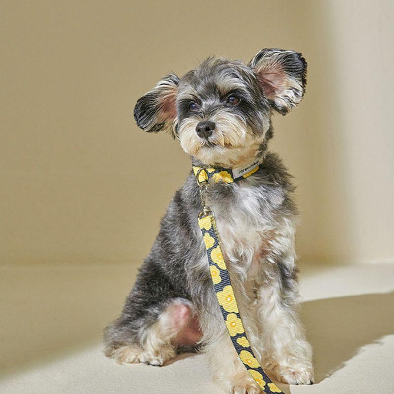 foreverybari pansy leash_yellow