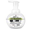 Walch Antibacterial Foam Hand Soap