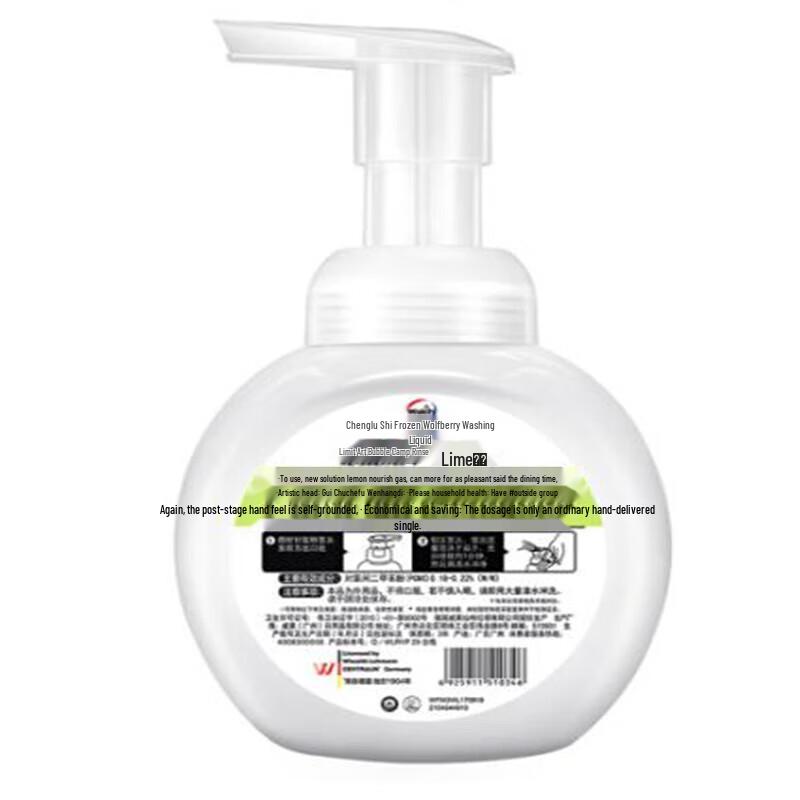 Walch Antibacterial Foam Hand Soap